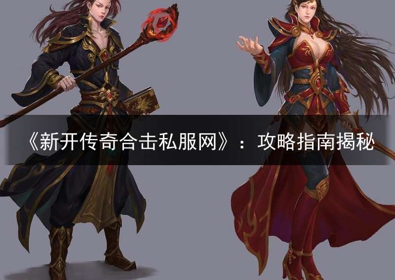 《新开传奇合击私服网》：攻略指南揭秘